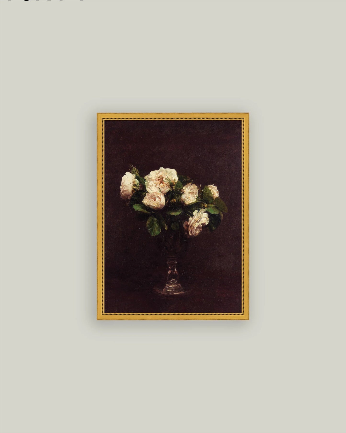 11X15 Roses Blanches