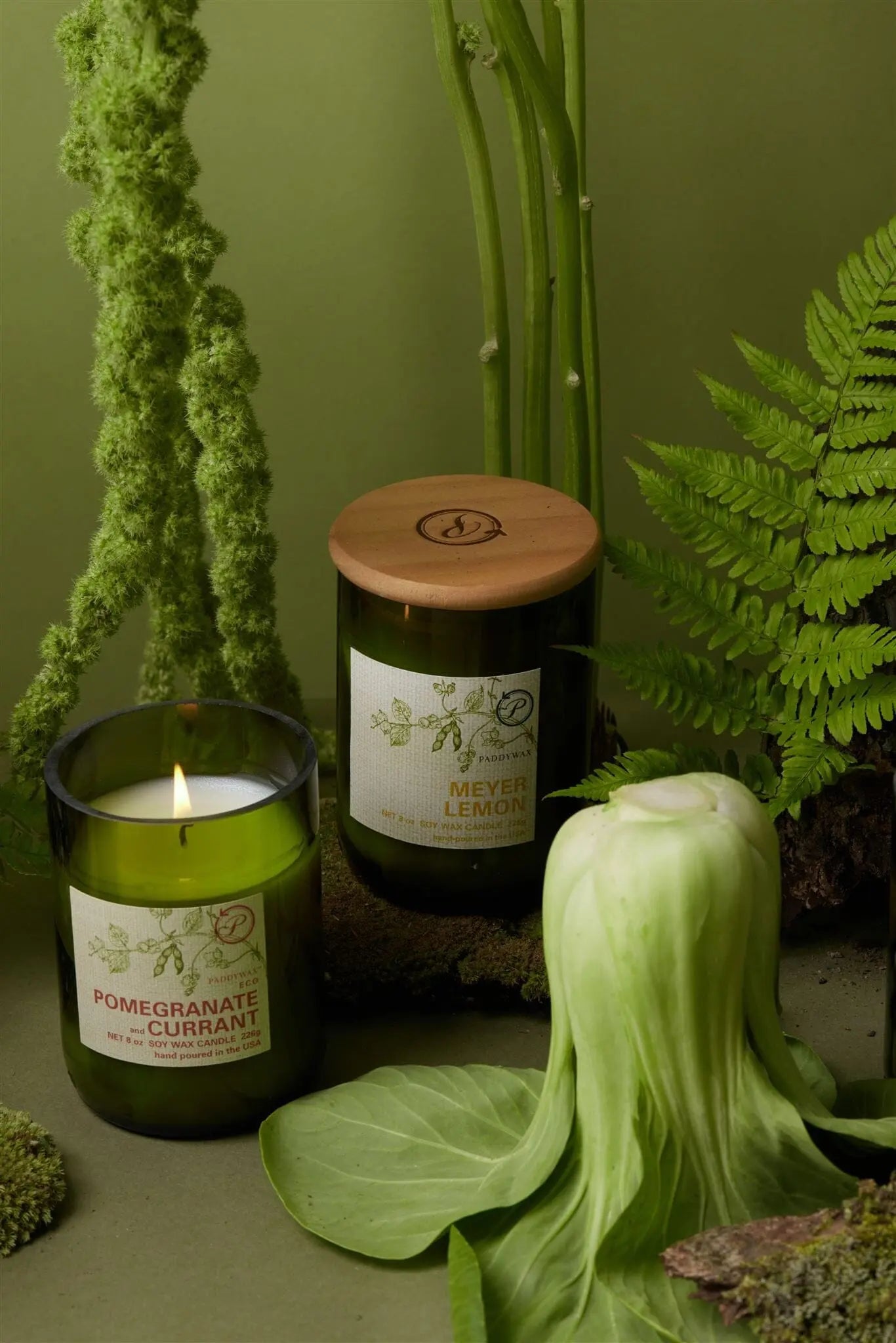 Meyer Lemon - Eco 8oz Candle