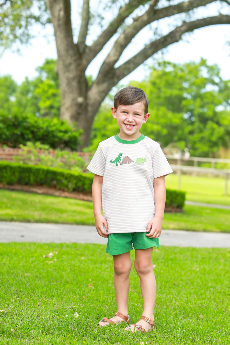 Dino-Mite Short Set