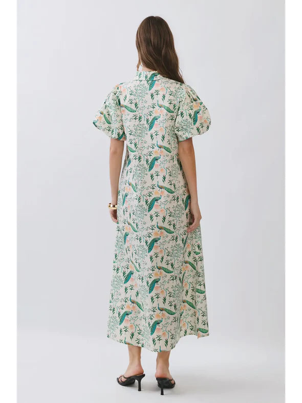 Peacock Midi Dress