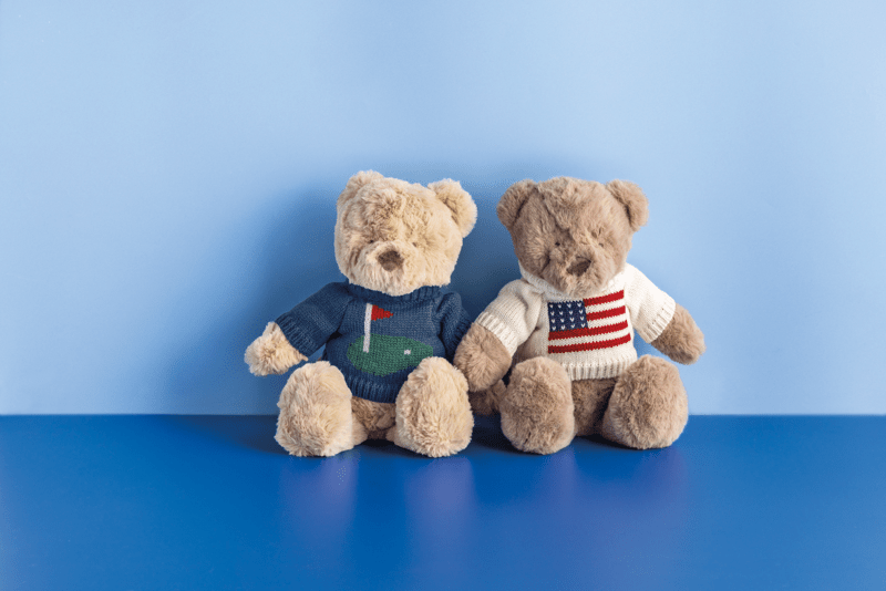 The Bear Plush Pal
