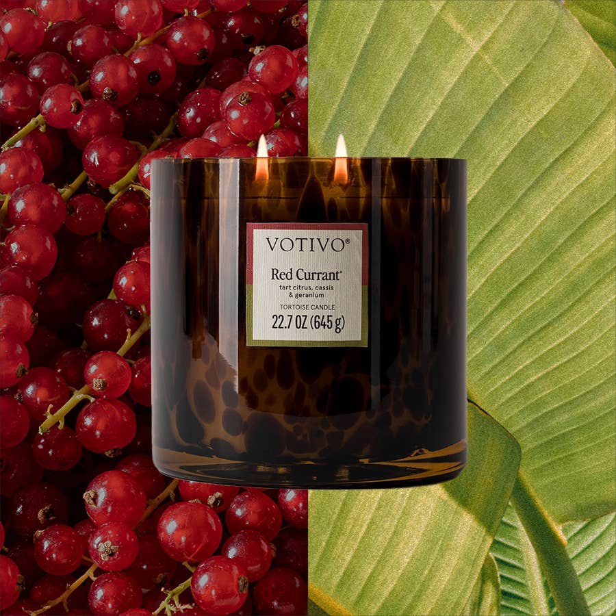 Red Currant Tortoise Candle - Elegant Tortoiseshell Candle 22.7oz