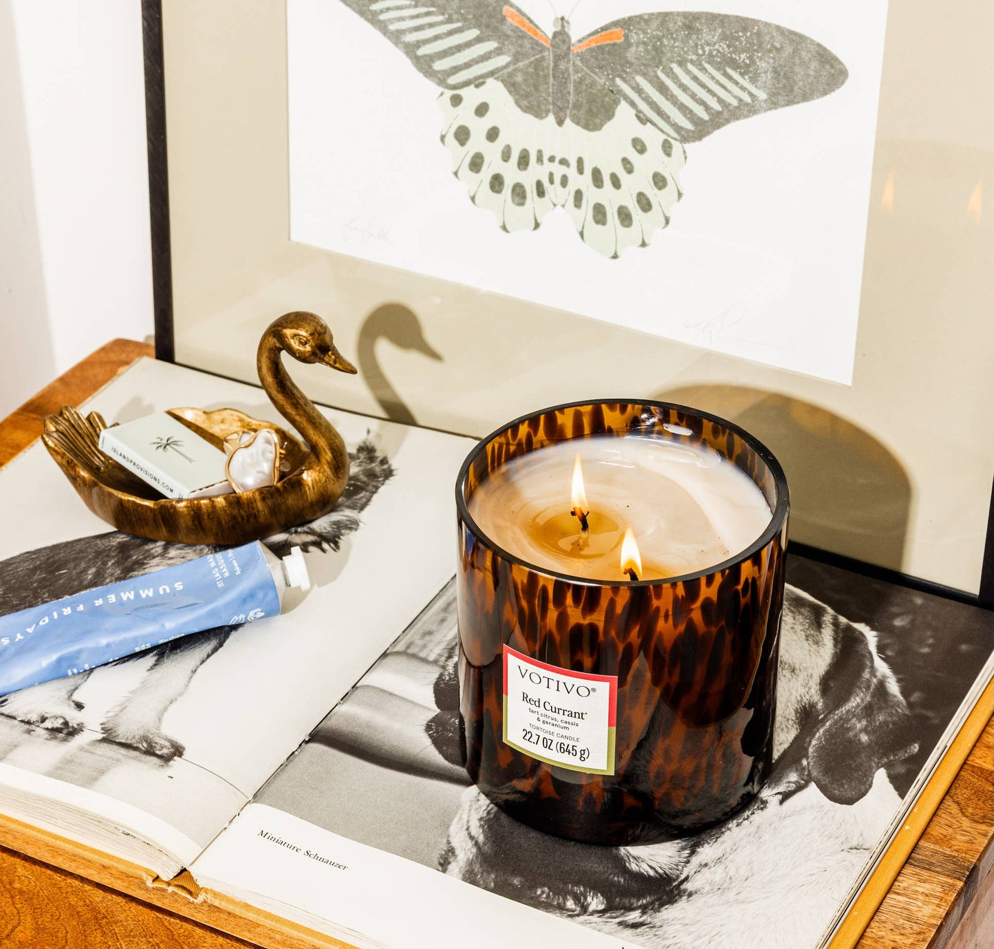 Red Currant Tortoise Candle - Elegant Tortoiseshell Candle 22.7oz