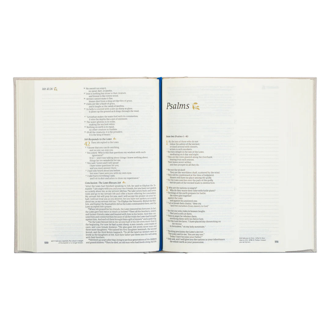 NLT Adelaide Notetaking Bible