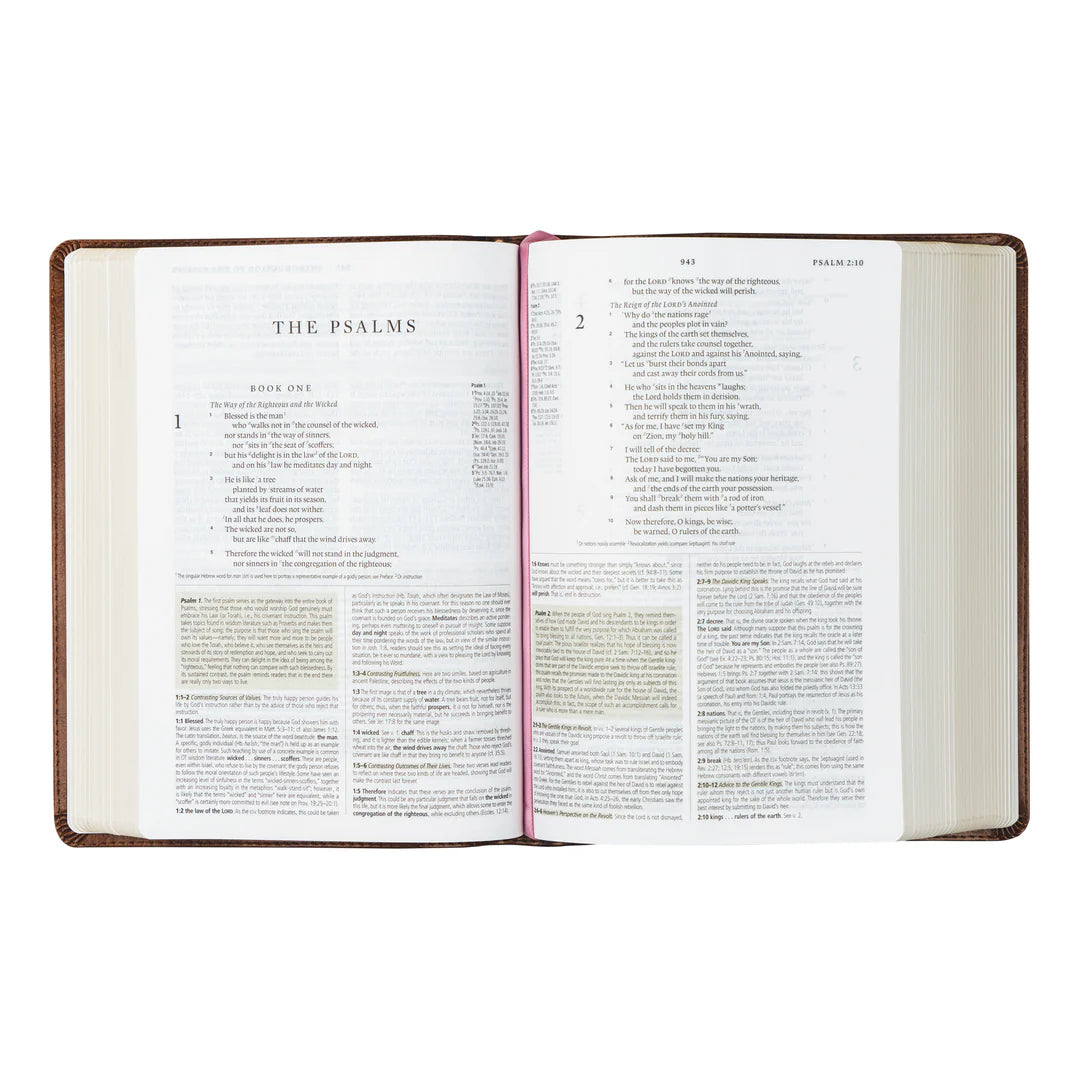 ESV Aurora Study Bible