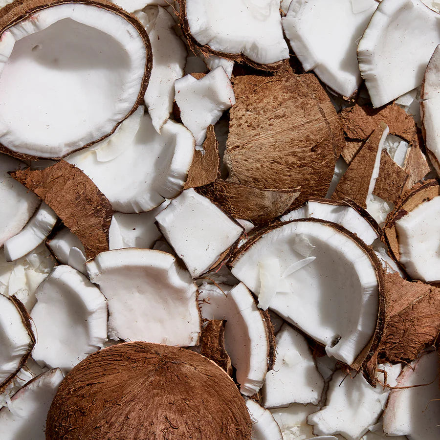 Caffe Capri 6.5oz Gelato Cup, Coconut Santal
