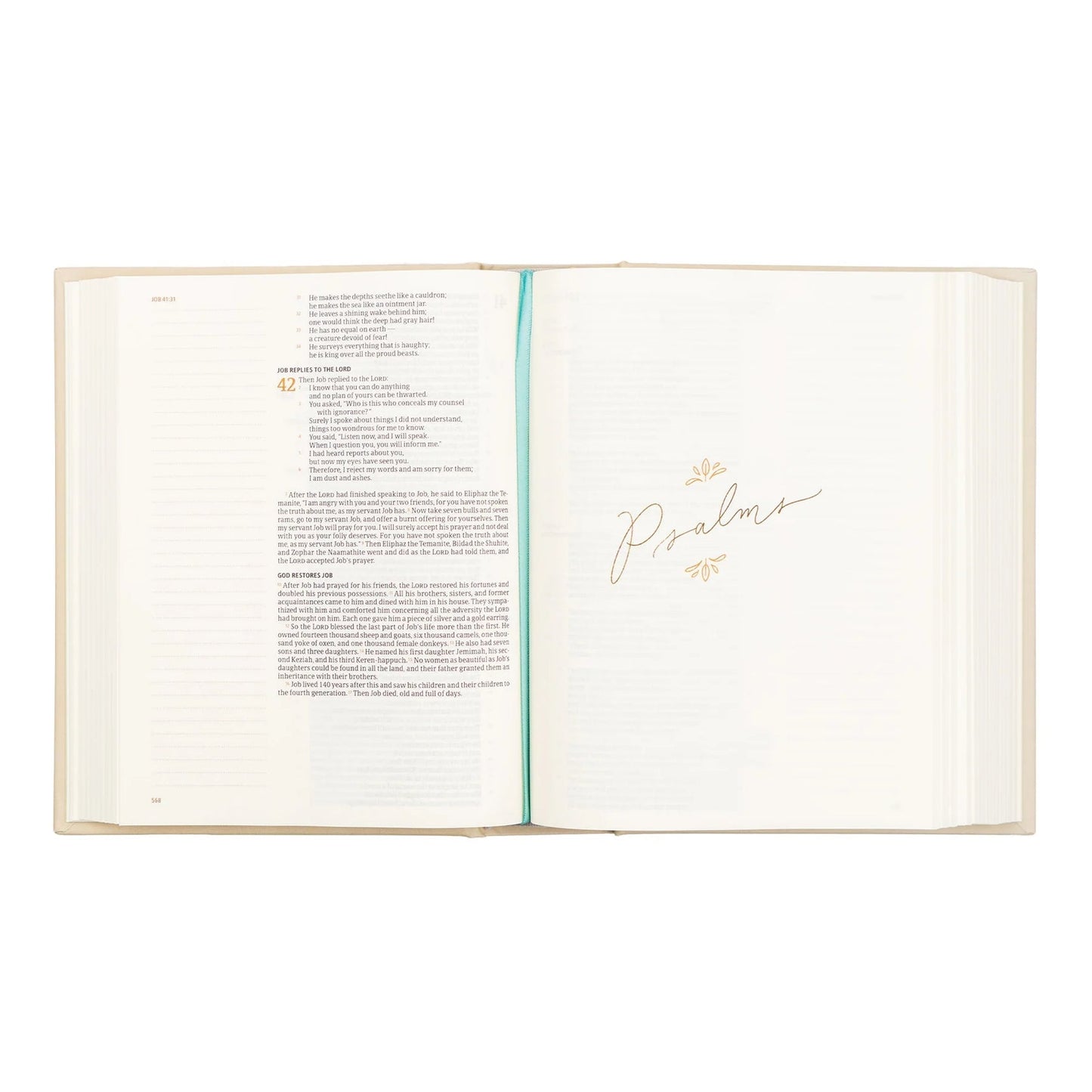 CSB Notetaking Bible-Charleston