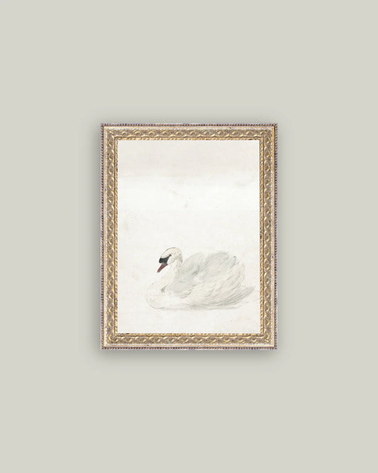 8x10 Fancy Gold Framed Swan