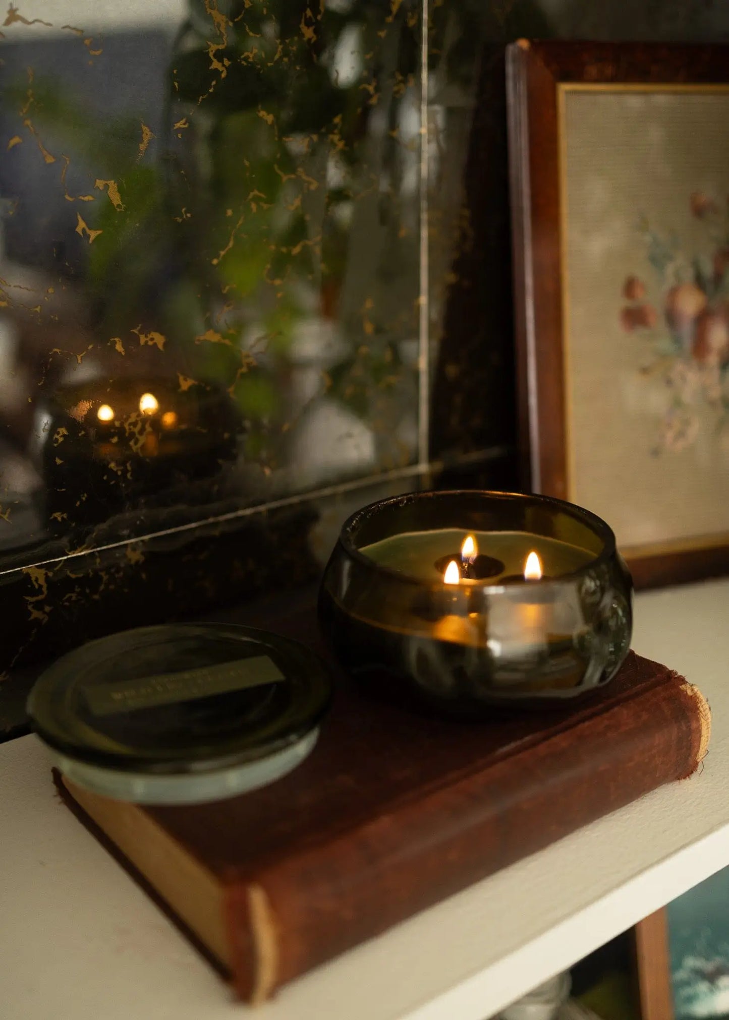 Wild Fig & Cedar - Basalt 10 oz Candle