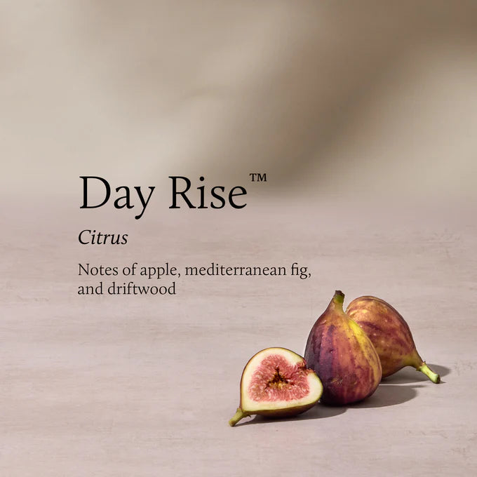 Day Rise 6.5 oz Poured Candle