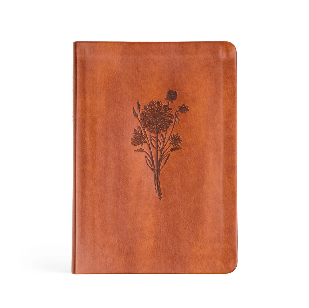 Sierra Notebook