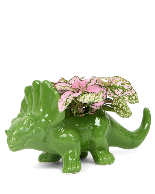 Triceratops Ceramic Indoor Plant Pot