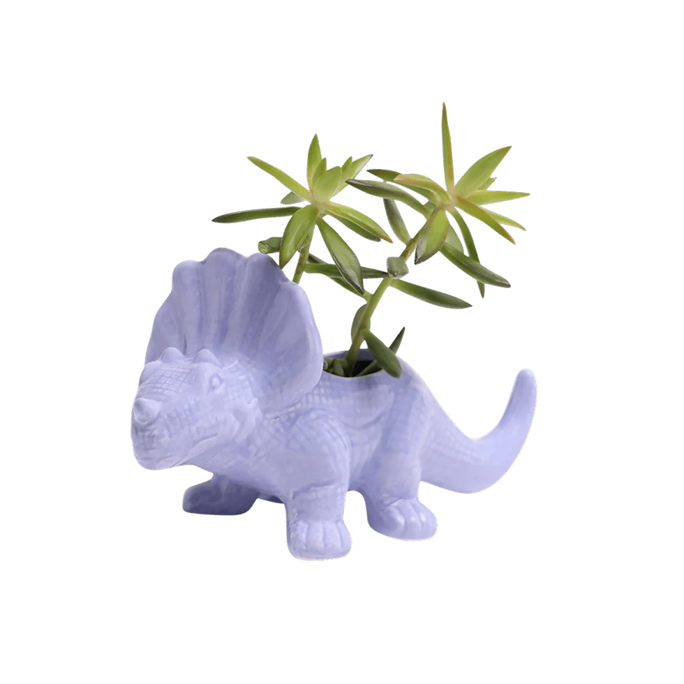 Triceratops Ceramic Indoor Plant Pot
