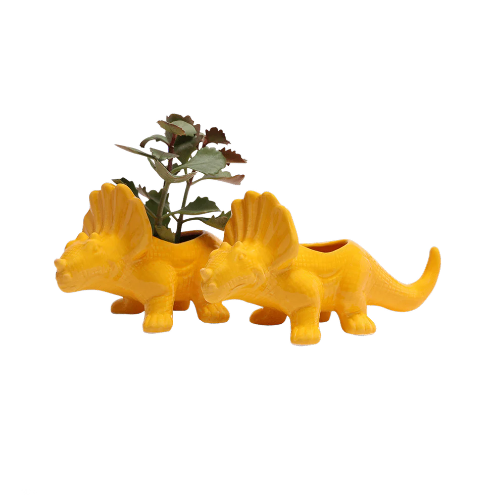 Triceratops Ceramic Indoor Plant Pot