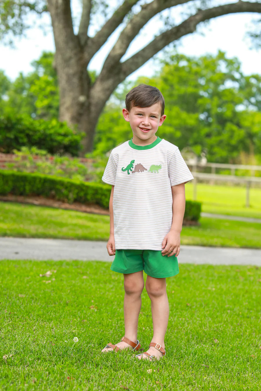 Dino-Mite Short Set