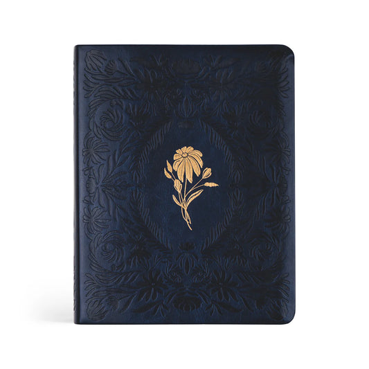 NLT Versailles Notetaking Bible