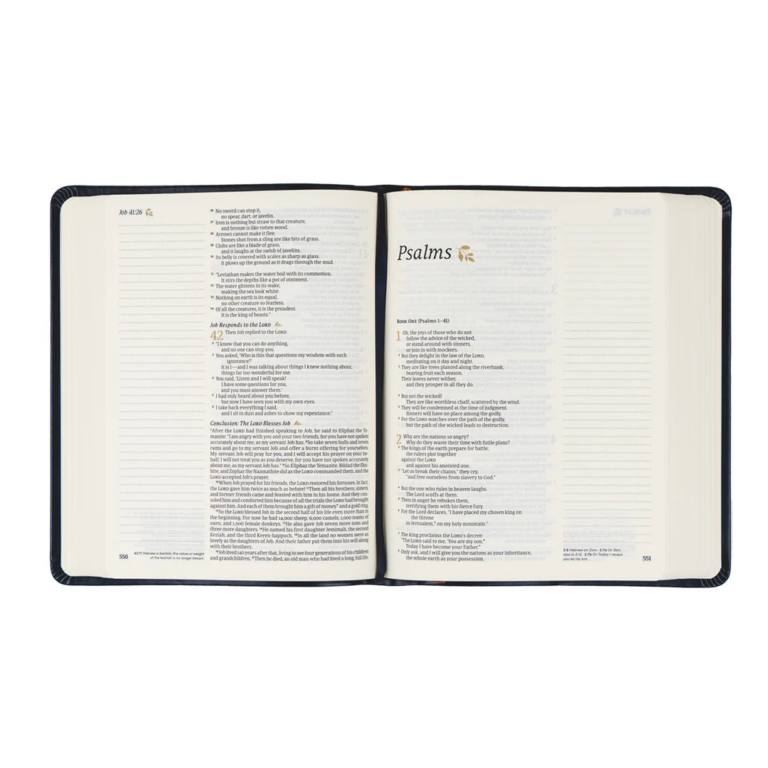NLT Versailles Notetaking Bible